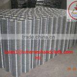 Hot Dipped Galvanized Welded Wire Mesh/building Material