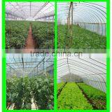 Suntex Virgin PE Clear Protective High Strength Membrane With UV thumbnail-6