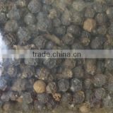 Blackpepper from Indonesia. Good Quality and Price
