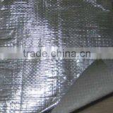 ALUMINIZED WOVEN FABRIC thumbnail-1
