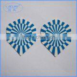 Blue Dart Flights thumbnail-1