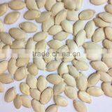 China New Crop Wholesale Shine Skin Pumpkin Seeds thumbnail-2