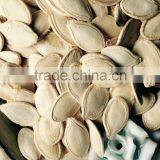 Low Price Shine Skin Pumpkin Seeds 2015 New Crops thumbnail-3