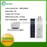 Cheap price high lumineance street solar light with 60w panel
