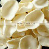 Pellet Chips Processing Line