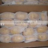 New crop dried potato with high quality