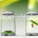 Customized Glass Jar thumbnail-1