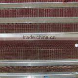 Poultry Battery Cages Waterer Equiped For Quail Rearing thumbnail-2