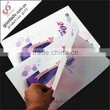 Promotional Price OEM Design and Flexible MOQ Plastic Clear File Folder