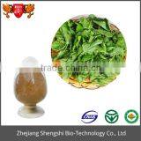 ISO GMP Factory 100% Pure Natural Mulberry Leaf Extract thumbnail-4