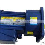 220V 22mm 100W Vertical AC Gear Motor with Ratio 1: 30