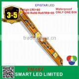 Led Strip Light DC12/24v High Bright 5050 Led Strip 60leds/m Flexible Addressable Rgb Led Strip thumbnail-6