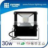30W 50w LED Flood Light Waterproof Outdoor 12 Volt Led Lights Cricket Live IP65