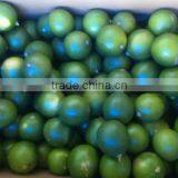 Vietnam Fresh Lime thumbnail-3