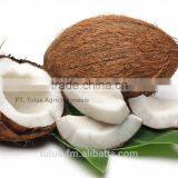 HIGH QUALITY FROZEN COCONUT CHUNKS