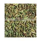 Indian Fennel Seeds thumbnail-3