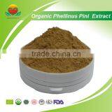 High Quality Organic Phellinus Pini Extract