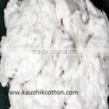 Pure Indian Cotton For Export