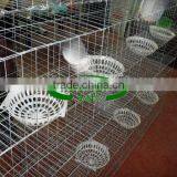Qatar Poultry Farm Galvanized Wire Mesh Pigeon Cage thumbnail-4
