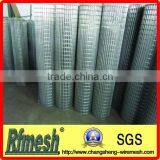 Galvanized Welded Wire Mesh