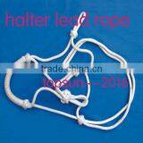 Braid Rope Horse Halter With Lead Rope thumbnail-1