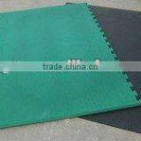 GOOD NEWS !!! Horse Yards/stables/pens EVA Mat thumbnail-1