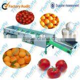 Small Cherry Tomato Grader and Sorter Machine With ThoYu Brand thumbnail-1