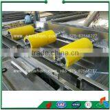 Vegetable and Fruit Washing Machine thumbnail-4