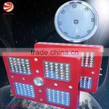 400W Intelligent Cree Led Hydroponic Light for Growth thumbnail-1