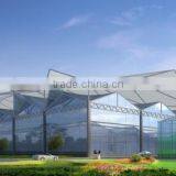 Venlo Type Glass Panels Agricultural Multi-Span Greenhouse With Sun Shade &Control System thumbnail-5