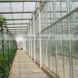 Glass Multi-Span Agricultural Greenhouse for Tomato thumbnail-2