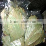 Bay Leaf thumbnail-1