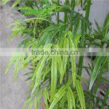 SJLJ013640 Factory Price Artificial Bamboo Plant for Garden Decoration thumbnail-3
