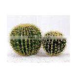 Indoor & Outdoor Decoration Artificial Ball Cactus thumbnail-2