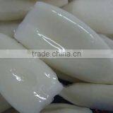 Good Quality Seafood Squid (Squid Tube) thumbnail-1