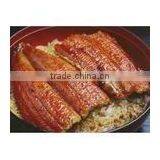Frozen Roasted Eel-fillet thumbnail-1