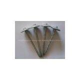 Africa ,Roofing Nail,Good Quality and Low Price thumbnail-2