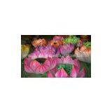 Chinese Handicraft Lantern for Festival Decoration_Flower Lantern thumbnail-1
