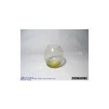 Glass Vase thumbnail-1