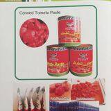 Factory Price Premium Tomato Paste in Pouch/Sachet thumbnail-4