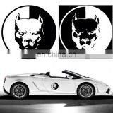Glow in the Dark Car Sticker Customized Car Models