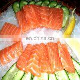 Blade Electric Fish Equipment on Sale thumbnail-6