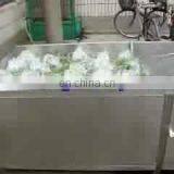 New Commercial Stainless Steel Green Vegetable Washing Machine for Sale thumbnail-1