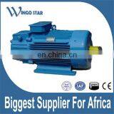 y3 Series Three Phase Slow Speed Electric Motor thumbnail-4