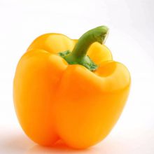 Chinese SXP NO.5 hybrid yellow color bell sweet pepper seeds