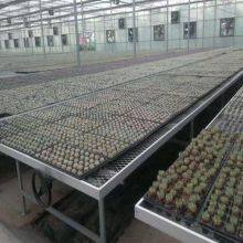 Tidal Irrigation Mobile Seedbed thumbnail-2