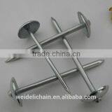 Galvanized Concrete Nail/Common Wire Nail / Roofing Nails thumbnail-3