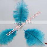 Natural Craft Ostrich Feather Fabric And Blue Decoration Ostrich Feather Coat thumbnail-6