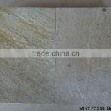 Mint fossil natural sandstone