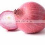 High quality red onion